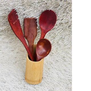 wooden spoon colored