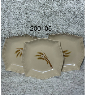 NT unbreakable P200105