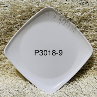 Rg P3018-10